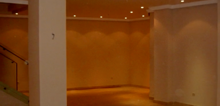 ELEGANTE LOCAL ZONA COMERCIAL